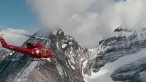 Backdrop to the movie "Ace Ventura: When Nature Calls" #808871