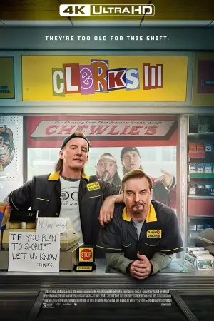 Poster to the movie "Clerks III" #149275