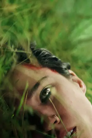 Poster to the movie "Don