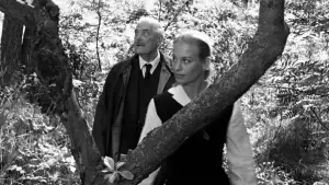 Backdrop to the movie "Wild Strawberries" #750356