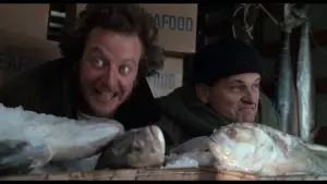 Backdrop to the movie "Home Alone 2: Lost in New York" #566969