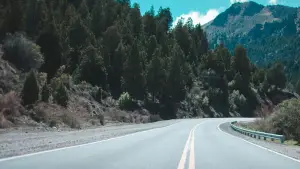 Backdrop to the movie "Road Trip" #711796