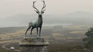 Backdrop to the movie "Skyfall" #771043