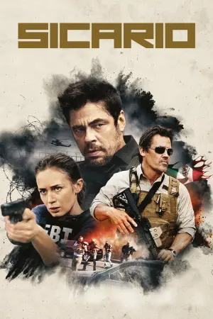 Poster to the movie "Sicario" #39660