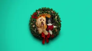 Backdrop to the movie "Happy Howlidays" #931397