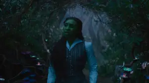 Backdrop to the movie "Wicked" #529845