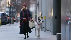 Backdrop to the movie "The Friend" #589086