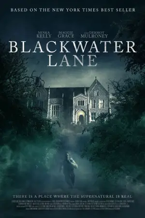 Poster to the movie "Blackwater Lane" #673851