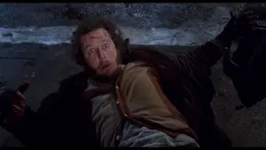 Backdrop to the movie "Home Alone 2: Lost in New York" #567344