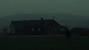 Backdrop to the movie "Three Colors: White" #705508