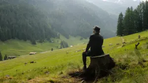 Backdrop to the movie "Youth" #254258