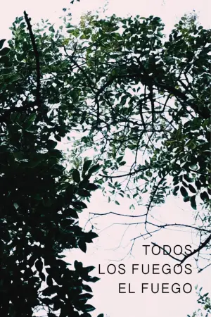 Poster to the movie "All the fires the fire: winter, spring" #468515