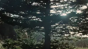 Backdrop to the movie "Die My Love" #513514