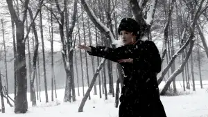 Backdrop to the movie "The Grandmaster" #860817