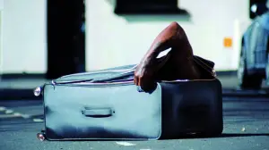 Backdrop to the movie "The Visitor" #756922