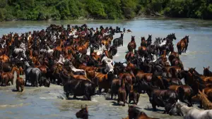 Backdrop to the movie "the legend" #550803