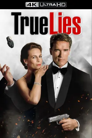 Poster to the movie "True Lies" #618681