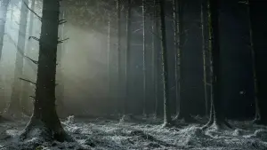 Backdrop to the movie "Werwulf" #930767
