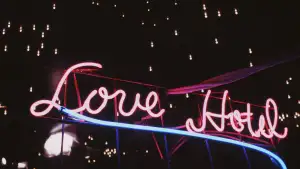 Backdrop to the movie "Love Hotel" #926761