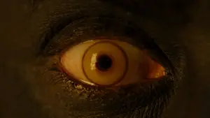 Backdrop to the movie "X2" #625454