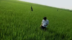 Backdrop to the movie "All About Lily Chou-Chou" #788193