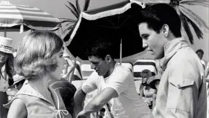 Backdrop to the movie "Girl Happy" #677619