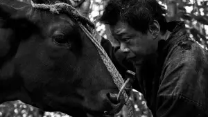 Backdrop to the movie "Black Ox" #543240