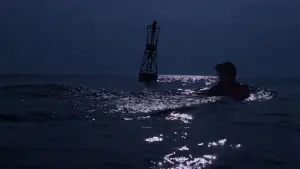 Backdrop to the movie "Jaws" #768204