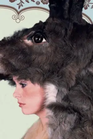 Poster to the movie "Donkey Skin" #812124