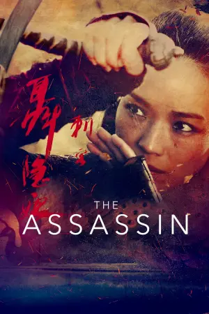 Poster to the movie "The Assassin" #283724