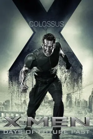 Poster to the movie "X-Men: Days of Future Past" #574384