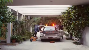 Backdrop to the movie "Inherent Vice" #704225