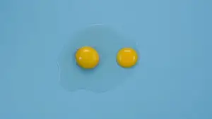 Backdrop to the movie "The Substance" #531033