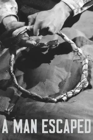 Poster to the movie "In Another Homeland" #543073