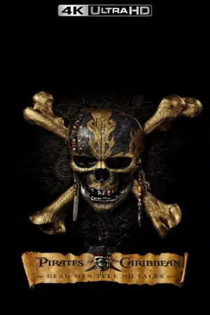 Poster to the movie "Pirates of the Caribbean: Dead Men Tell No Tales" #27877