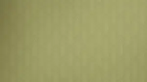 Backdrop to the movie "Backrooms" #778459