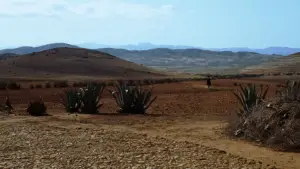 Backdrop to the movie "The Good, the Bad and the Ugly" #582117