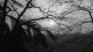 Backdrop to the movie "Night of the Living Dead" #697260