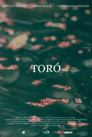 Poster to the movie "Toró" #457371