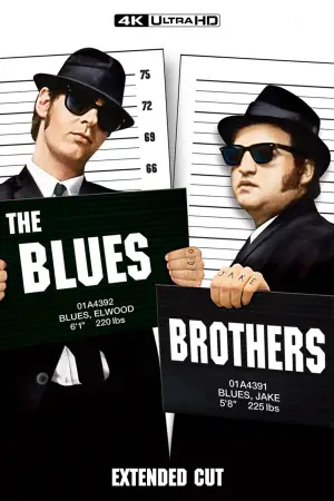 Poster to the movie "The Blues Brothers" #658059