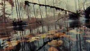 Backdrop to the movie "The Evil Dead" #637048