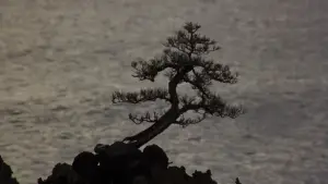 Backdrop to the movie "The Karate Kid Part II" #670638