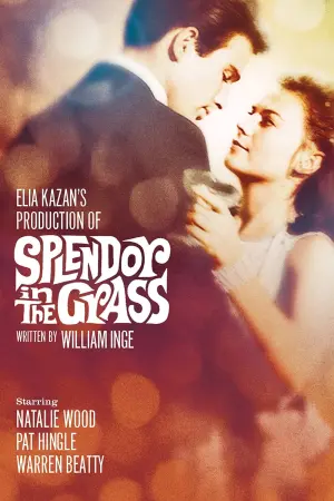 Poster to the movie "Splendor in the Grass" #365061