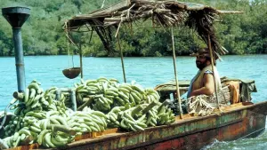 Backdrop to the movie "Banana Joe" #271880