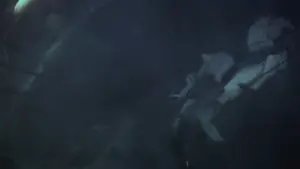 Backdrop to the movie "Moby Dick" #725711