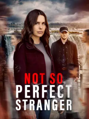 Poster to the movie "Not So Perfect Stranger" #594562