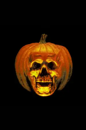 Poster to the movie "Halloween II" #709047