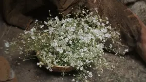 Backdrop to the movie "Materialists" #558698