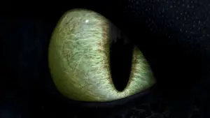 Backdrop to the movie "How to Train Your Dragon" #581329