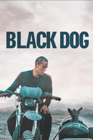 Poster to the movie "Black Dog" #600743